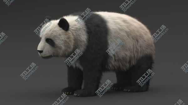 images/goods_img/20210312/Giant Panda 3D model/2.jpg